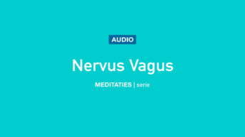 nervus vagus meditaties serie + kennis yogaplaza®